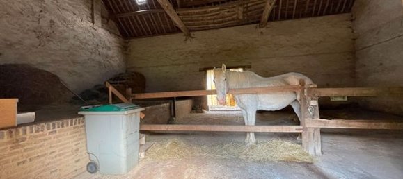 9 bedrooms House in Yonne, France No. 306401 17