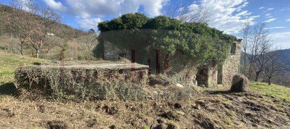 14غرفة منزل في Ne, Italy رقم 110212 23