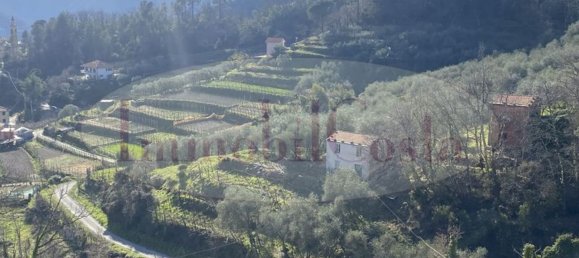 14غرفة منزل في Ne, Italy رقم 110212 14