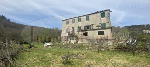 14غرفة منزل في Ne, Italy رقم 110212 17