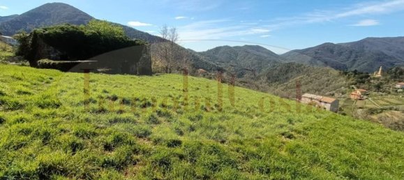 14غرفة منزل في Ne, Italy رقم 110212 39