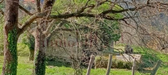 14غرفة منزل في Ne, Italy رقم 110212 37