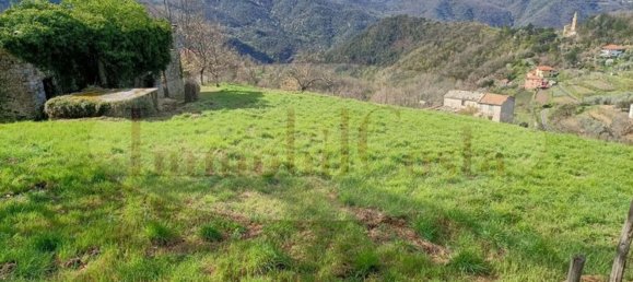 14غرفة منزل في Ne, Italy رقم 110212 49