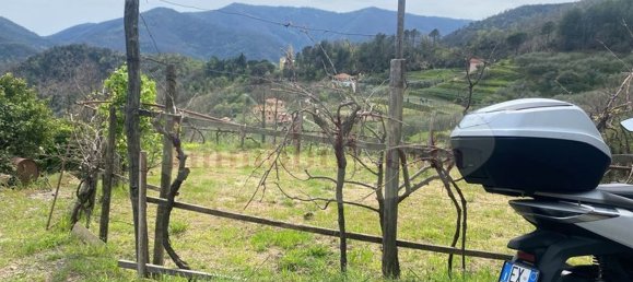 14غرفة منزل في Ne, Italy رقم 110212 6