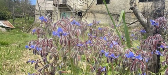 14غرفة منزل في Ne, Italy رقم 110212 27