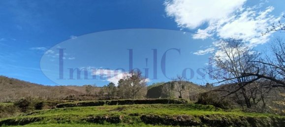 14غرفة منزل في Ne, Italy رقم 110212 12