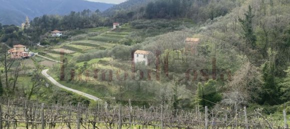 14غرفة منزل في Ne, Italy رقم 110212 29