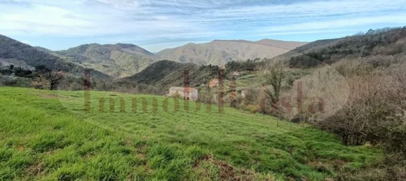 14غرفة منزل في Ne, Italy رقم 110212 35