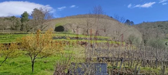 14غرفة منزل في Ne, Italy رقم 110212 36