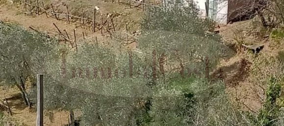 14غرفة منزل في Ne, Italy رقم 110212 9