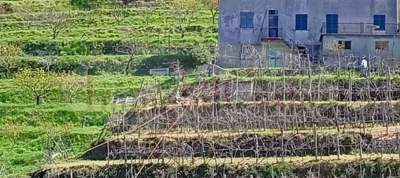 14غرفة منزل في Ne, Italy رقم 110212 45