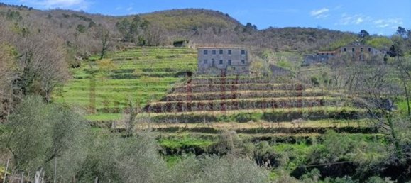 14غرفة منزل في Ne, Italy رقم 110212 44