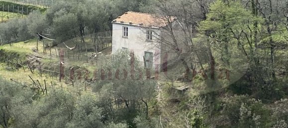 14غرفة منزل في Ne, Italy رقم 110212 21