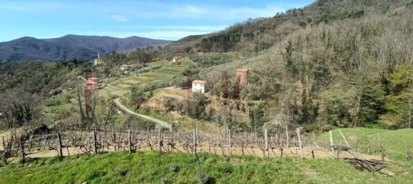 14غرفة منزل في Ne, Italy رقم 110212 4