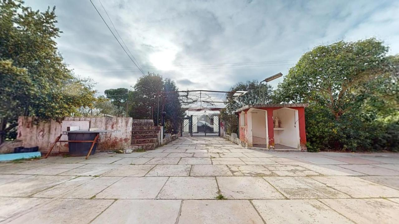 4 rooms Villa in Francavilla Fontana, Italy No. 24452