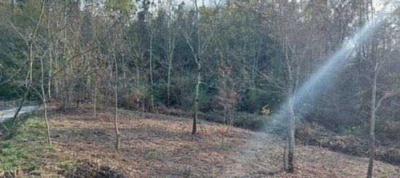 2336m² Land in Fiscal, Portugal No. 147845 4