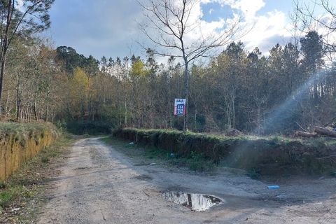 2336m² Land in Fiscal, Portugal No. 147845