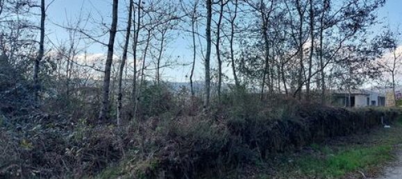 2336m² Land in Fiscal, Portugal No. 147845 3