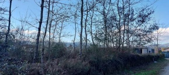 2336m² Land in Fiscal, Portugal No. 147845 2