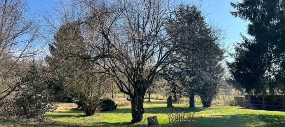 7-Zimmer Haus in Steinfurt, Germany, Nr. 139212 19