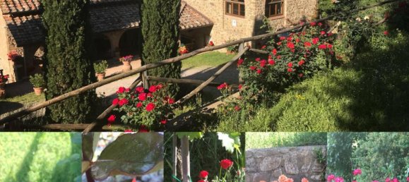 Villa de 10 habitaciónes en Gaiole in Chianti, Italy No. 237387 3