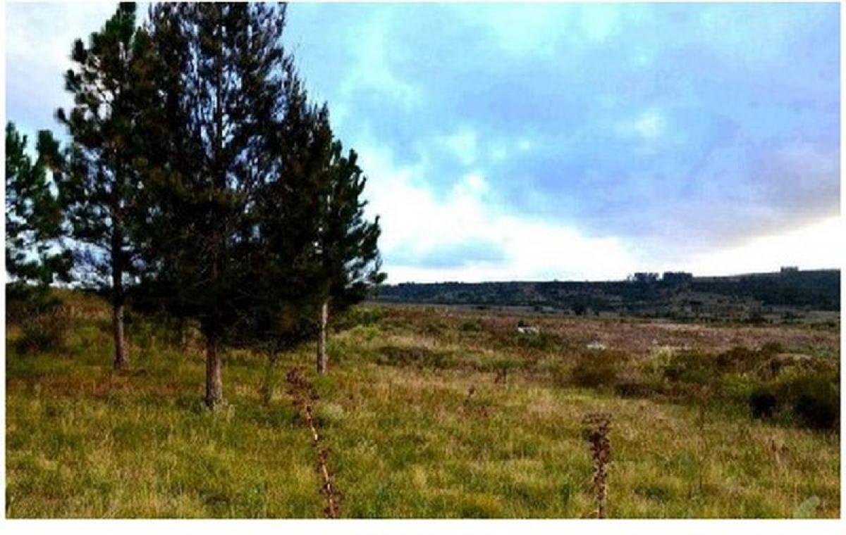 80m² Farm in Maldonado, Uruguay No. 14204