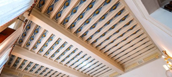 30 rooms Villa in Carmignano, Italy No. 301704 12