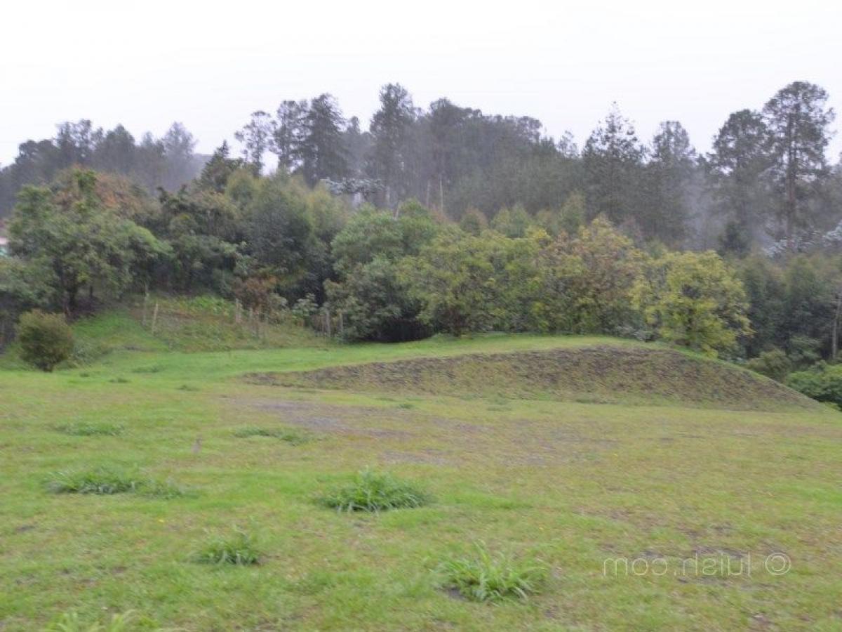  Land in Antioquia, Colombia No. 186