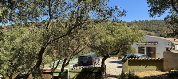 2 bedrooms House in Aggius, Italy No. 318994 19