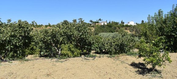 2 chambres Maison à Alhaurin el Grande, Spain No. 149911 31