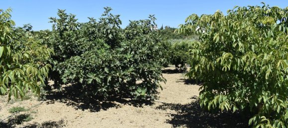 2 chambres Maison à Alhaurin el Grande, Spain No. 149911 22