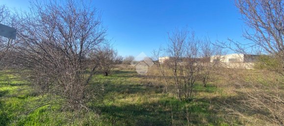 Земельный участок 9415м² в Кастильоне делле Стивьере, Италия № 153760 12