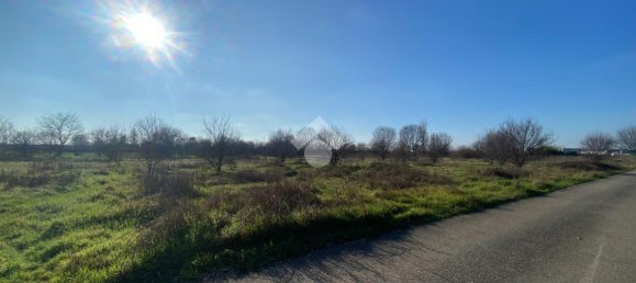 Земельный участок 9415м² в Кастильоне делле Стивьере, Италия № 153760 13