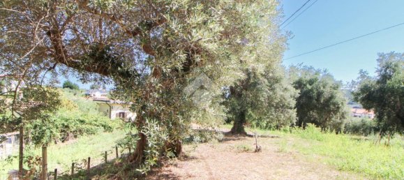 Casa T2 em Torrevecchia Teatina, Italy N.º 297345 7