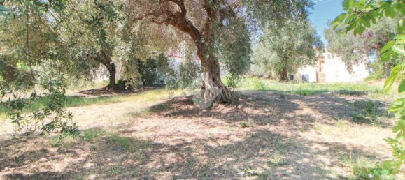 Casa T2 em Torrevecchia Teatina, Italy N.º 297345 6