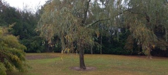 Terrain à La Chevallerais, France 561m² No. 289467 3