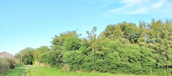 Grundstück in Laneuveville-aux-Bois, France, Nr. 88837 7