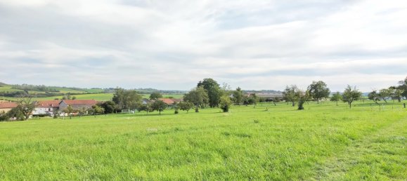 Grundstück in Laneuveville-aux-Bois, France, Nr. 88837 5