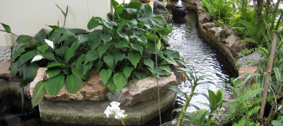 Кафе / ресторан с 5 спальнями в Паттайя, Таиланд № 1551 3