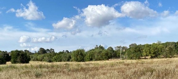 Дом с 7 спальнями в Кампос, Испания № 190185 6