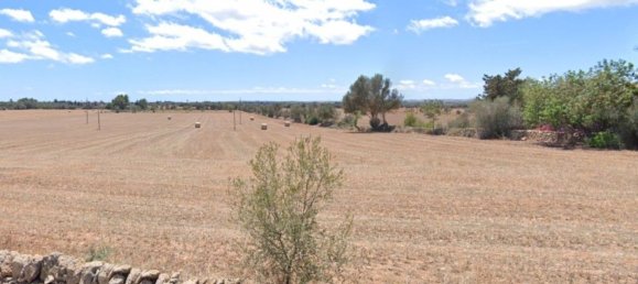 Дом с 7 спальнями в Кампос, Испания № 190185 11