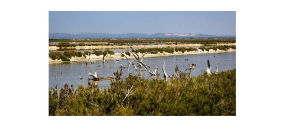 Дом с 7 спальнями в Кампос, Испания № 190185 18