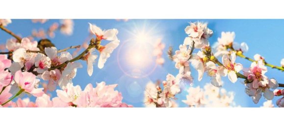 Дом с 7 спальнями в Кампос, Испания № 190185 19