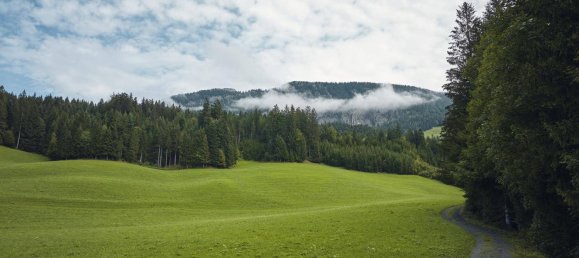 4 غرف نوم منزل في Fieberbrunn, Austria رقم 181055 6