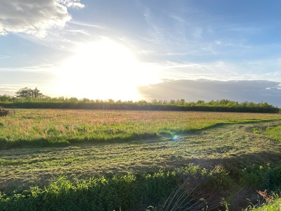 Land in Saint-Laurent-des-Vignes, France No. 105239