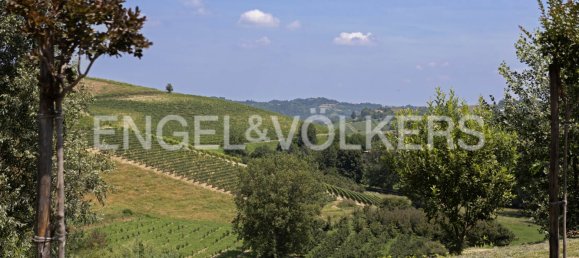 7 bedrooms Villa in Agliano Terme, Italy No. 131371 13