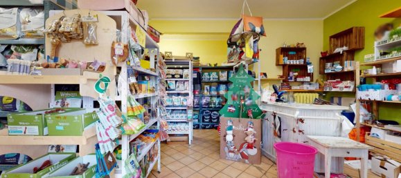 3-Zimmer Gewerbliche Immobilie in Bologna, Italy, Nr. 59772 2