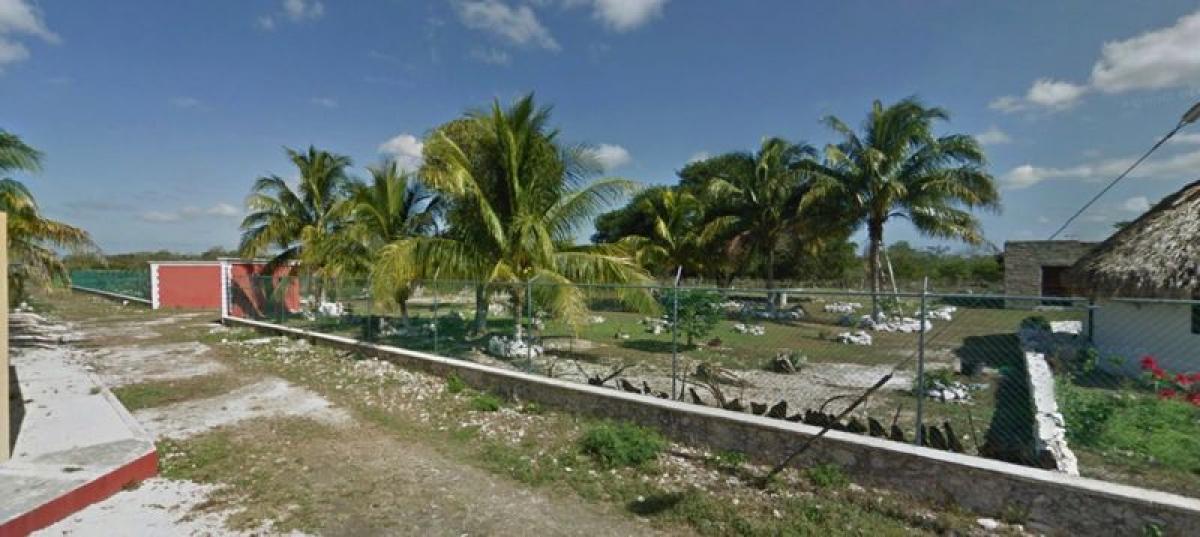 Terreno en Mérida, Mexico No. 126593