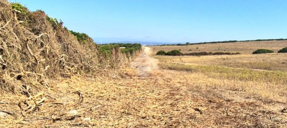 Terrain à Sardinia, Italy 100000m² No. 300029 10