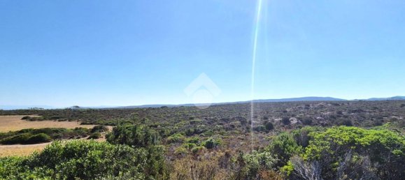 Terrain à Sardinia, Italy 100000m² No. 300029 6